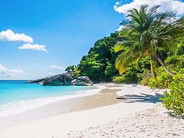 Votre rêve des Caraibes devient